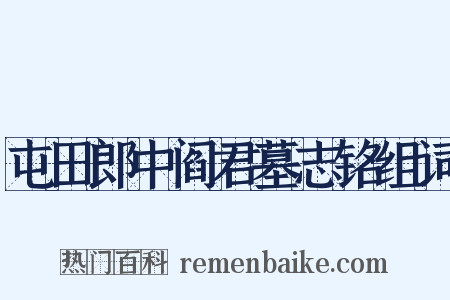 屯田郎中阎君墓志铭组词是什么意思的图片
